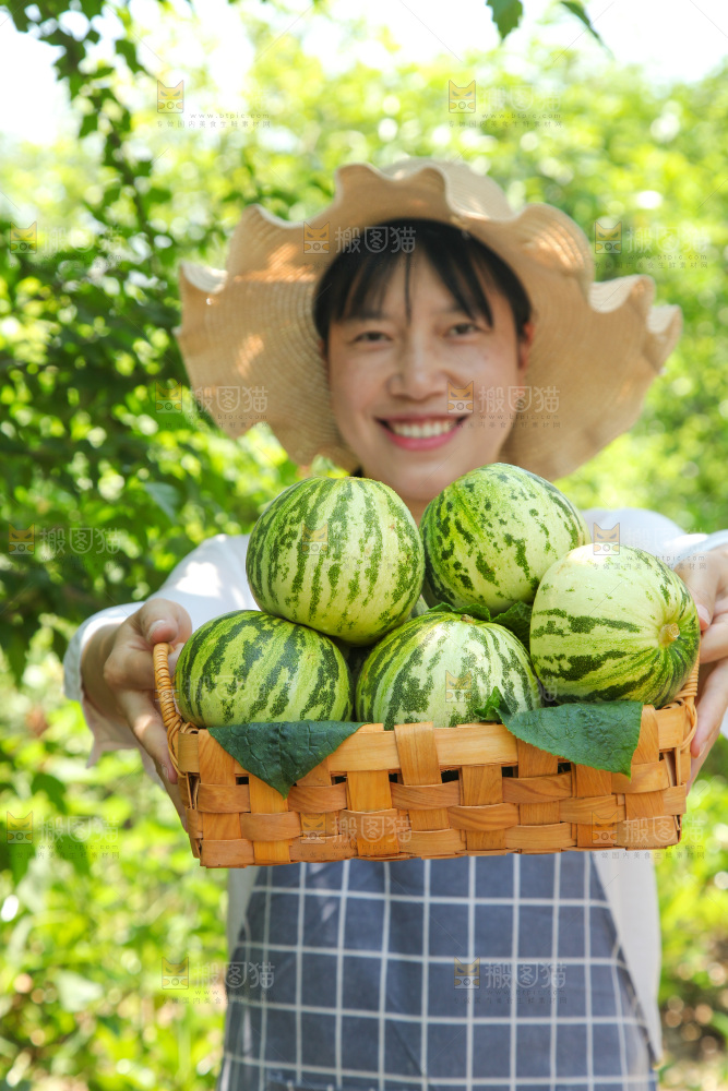 手里端着一篮花蕾甜瓜