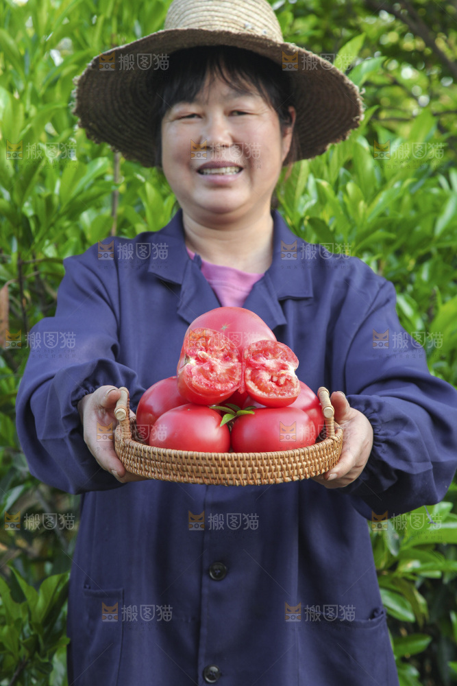 手里端着一篮番茄