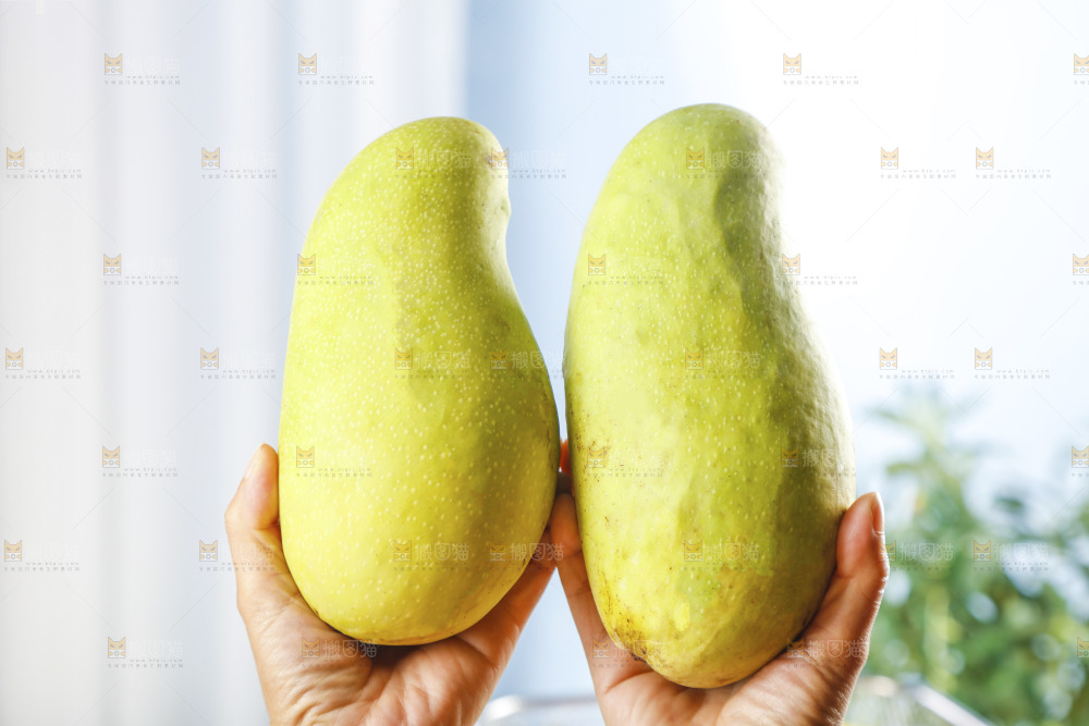 手里拿着大金煌芒