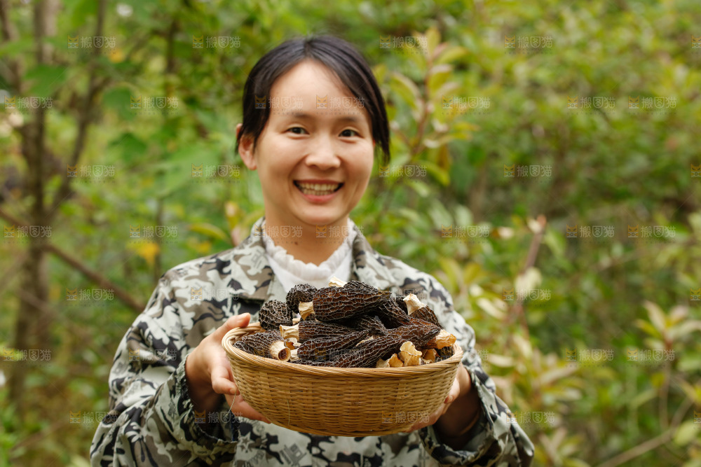 手里拿着一篮干羊肚菌
