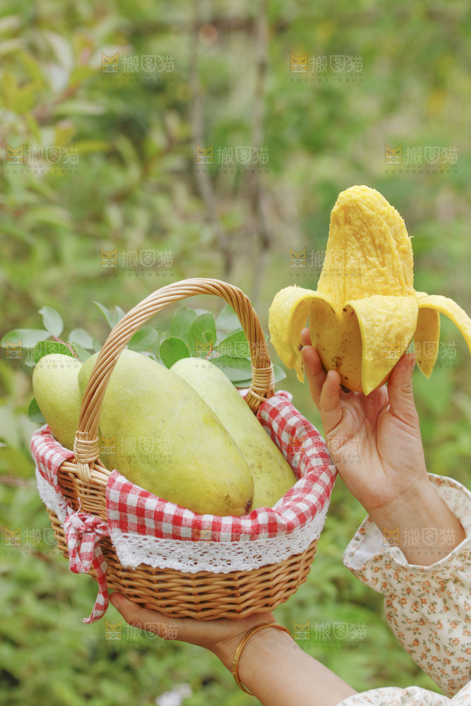 一篮金煌芒