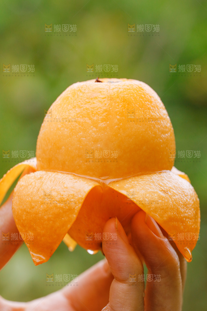 手里拿着大枇杷