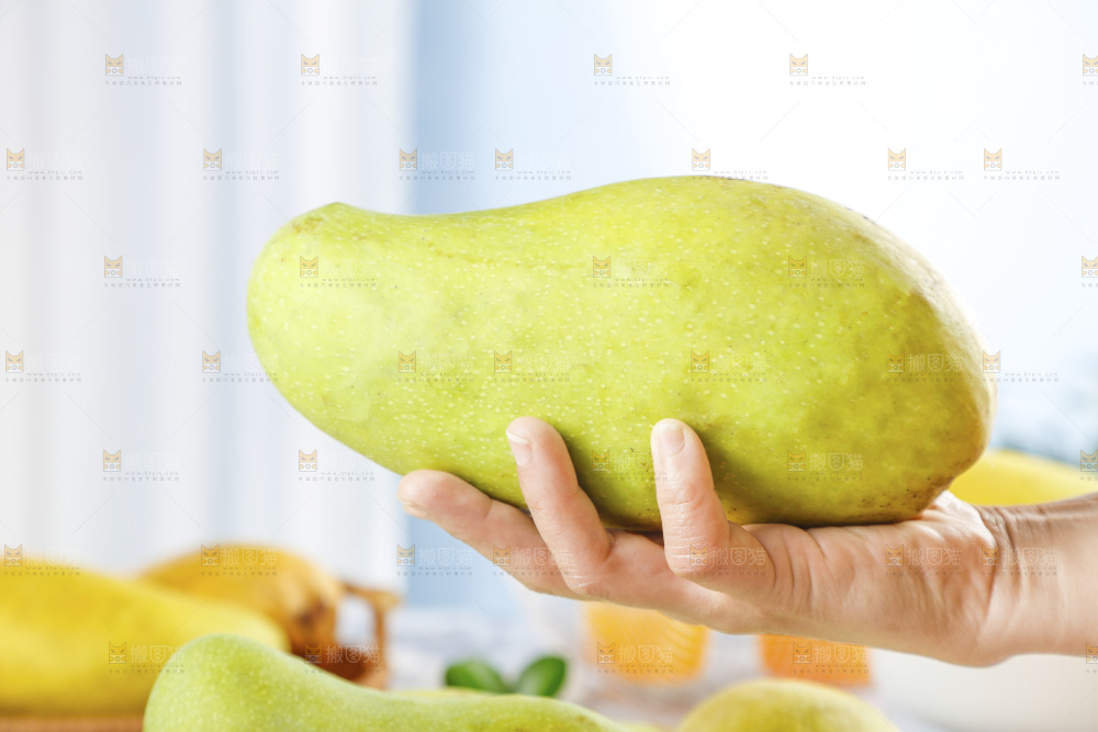 手里拿着大金煌芒