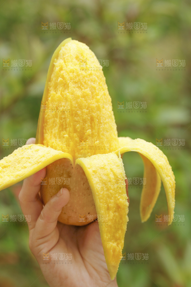 手里拿着芒果