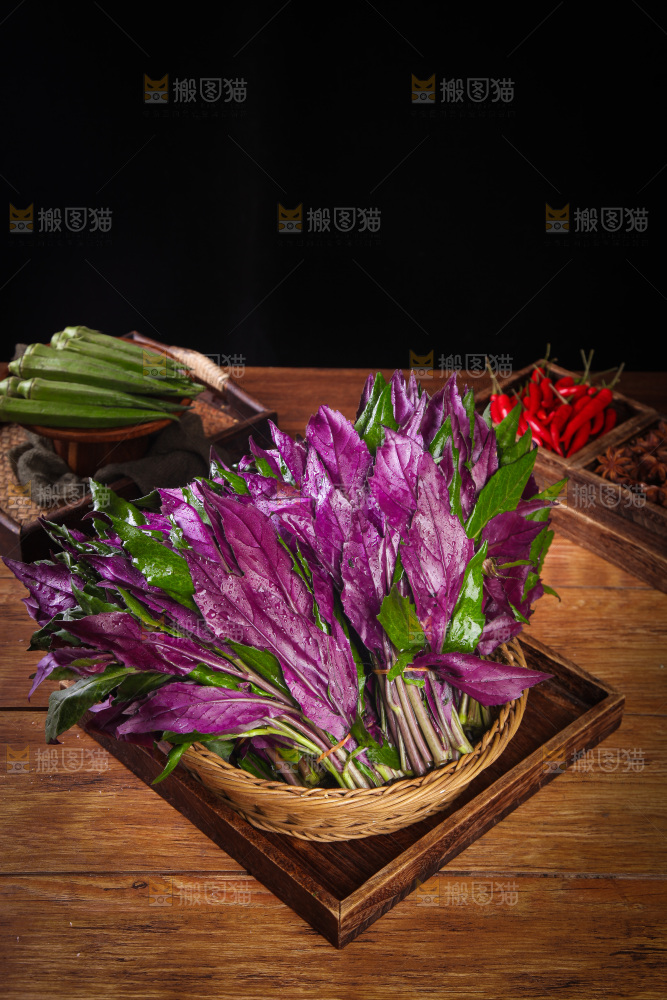 一篮新鲜紫背天葵
