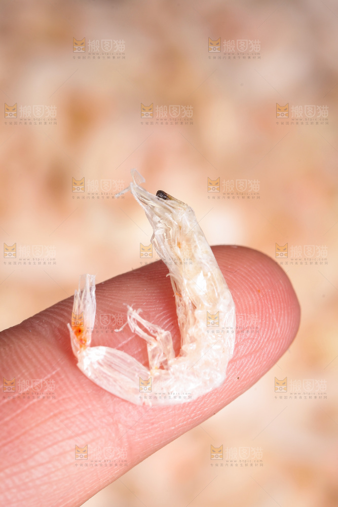 手里拿着海虾皮