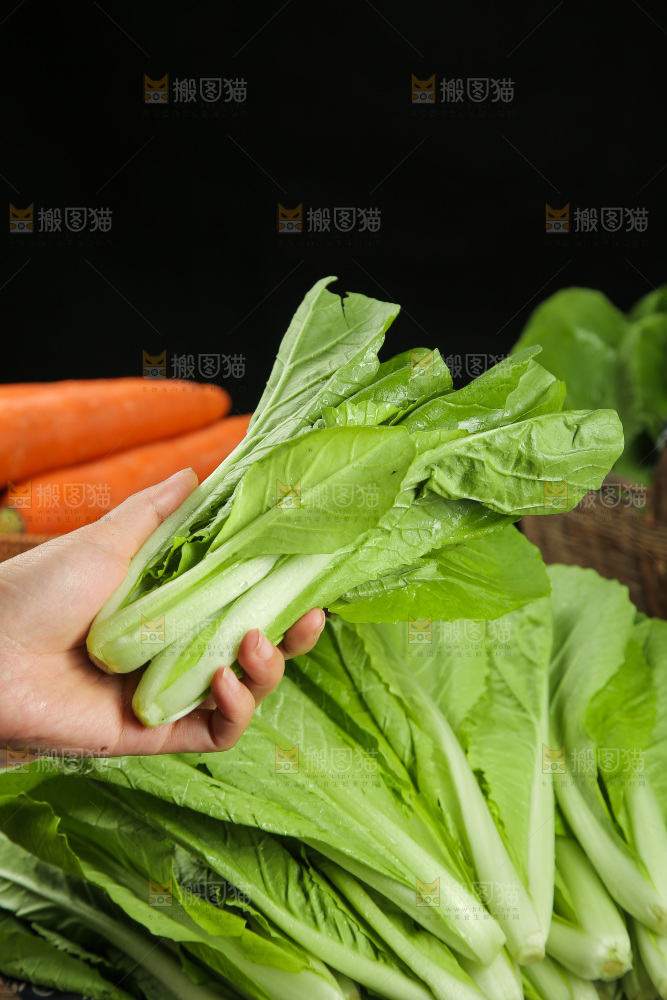 手里拿着杭白菜