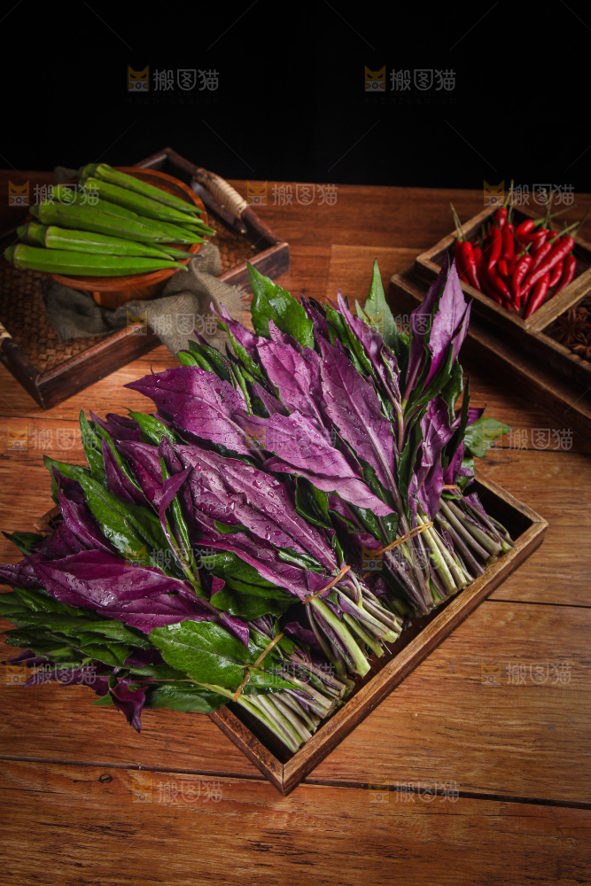 木底上放着一盘紫背天葵