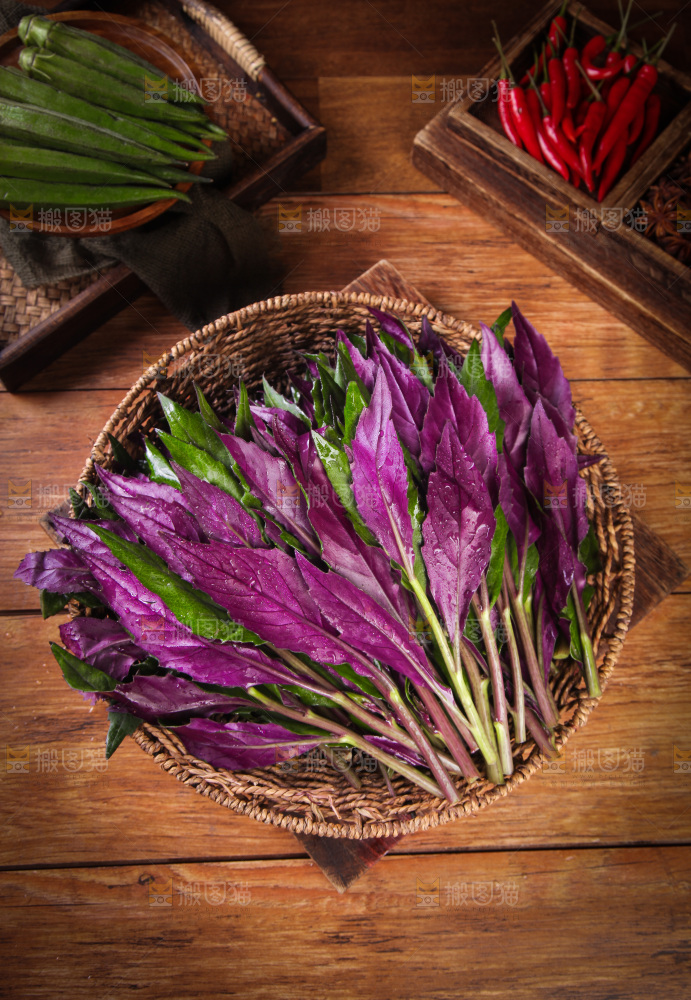 一篮新鲜紫背天葵