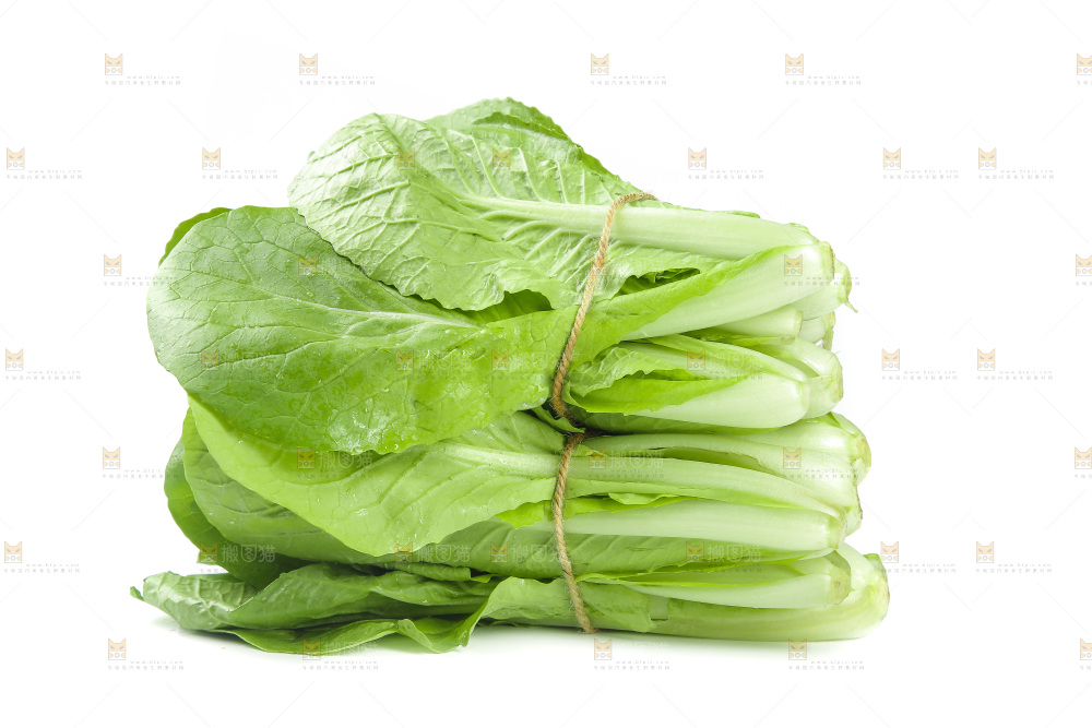 白底上放着一堆小白菜