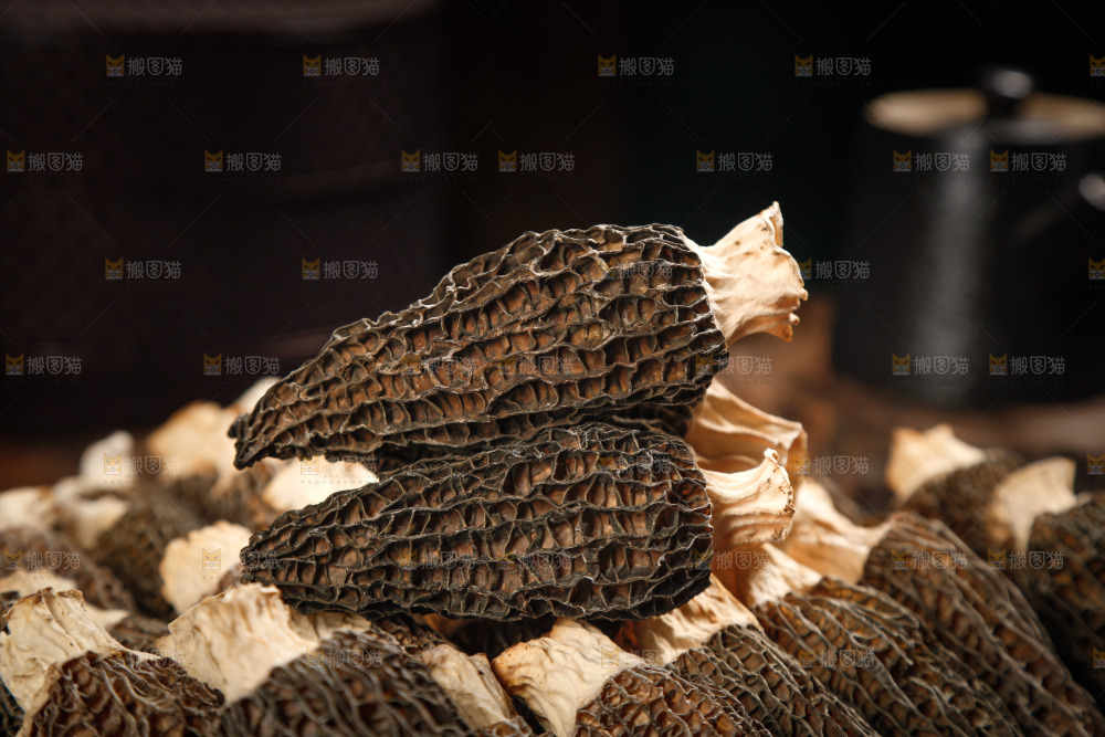 羊肚菌