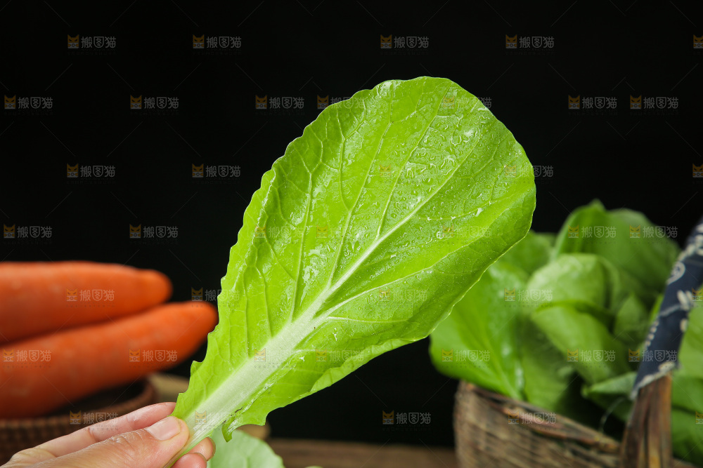 手里拿着小白菜叶子