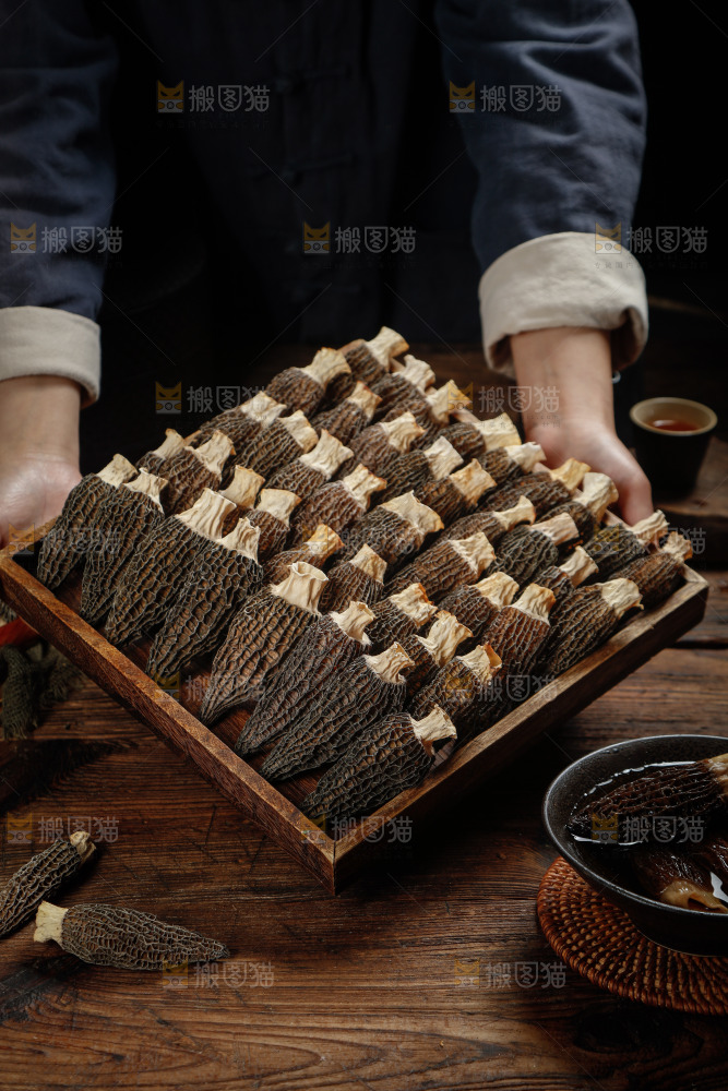 手里端着一盘带柄羊肚菌
