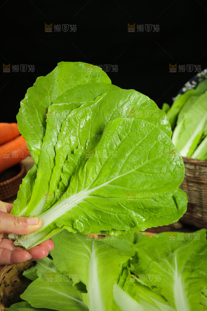 手里拿着小白菜
