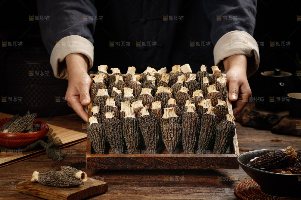 手里端着一盘带柄羊肚菌