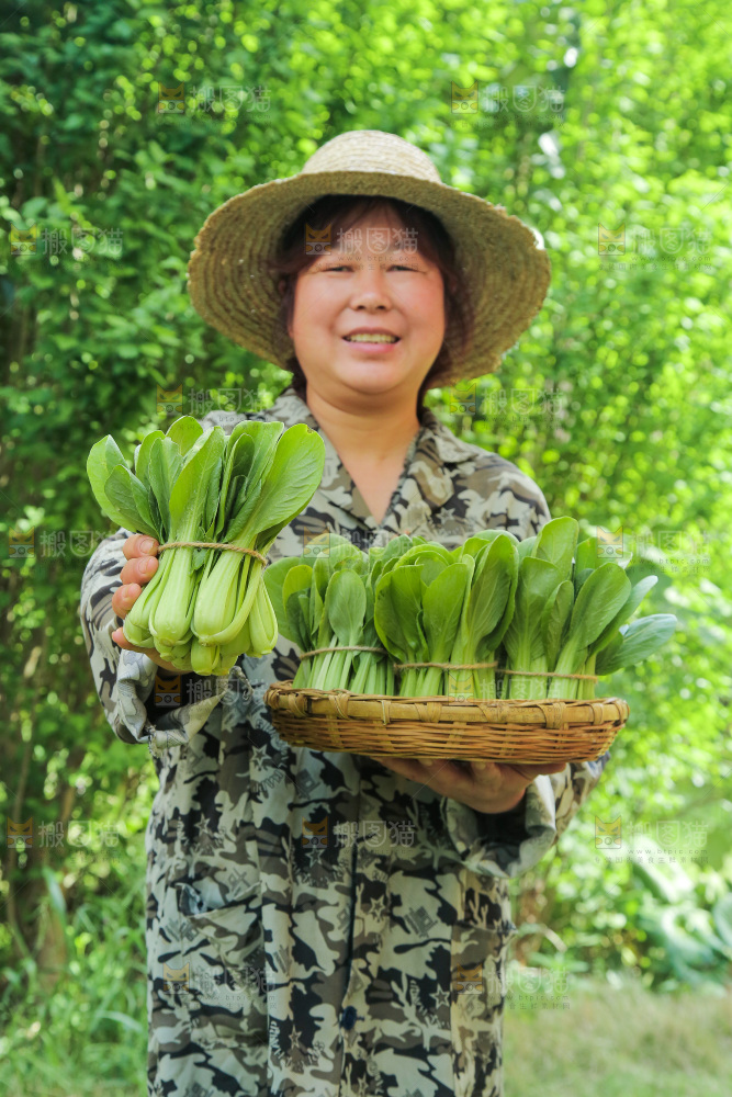 手里拿着上海青