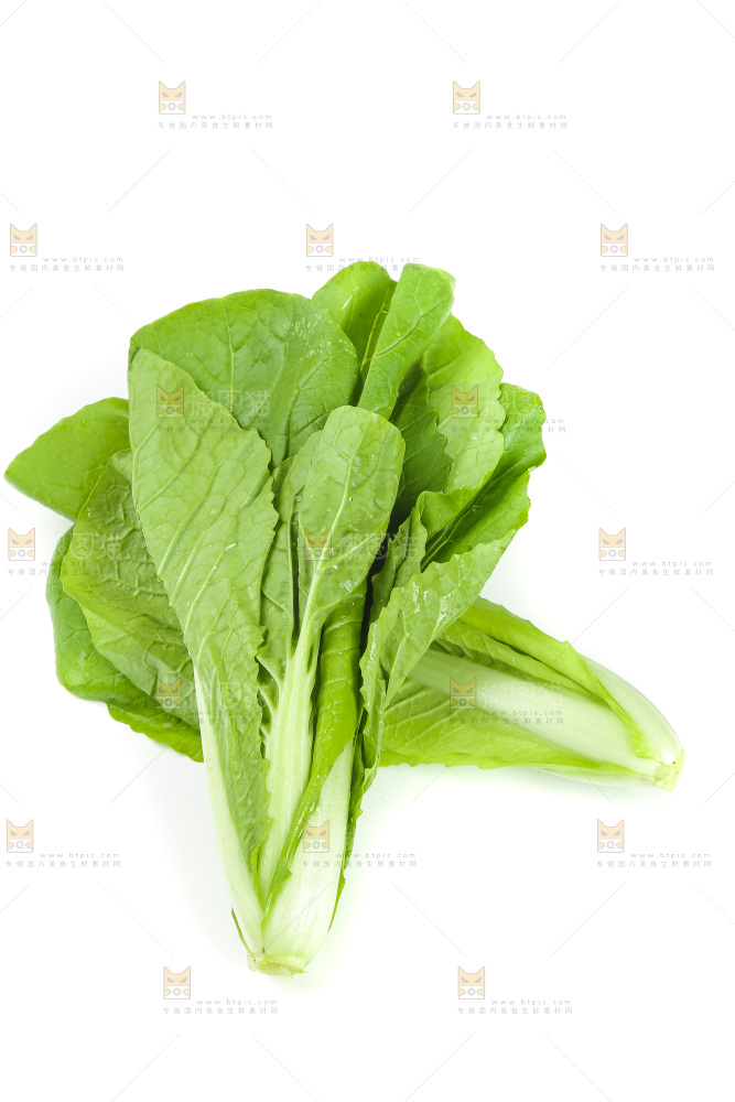 白底上放着小白菜