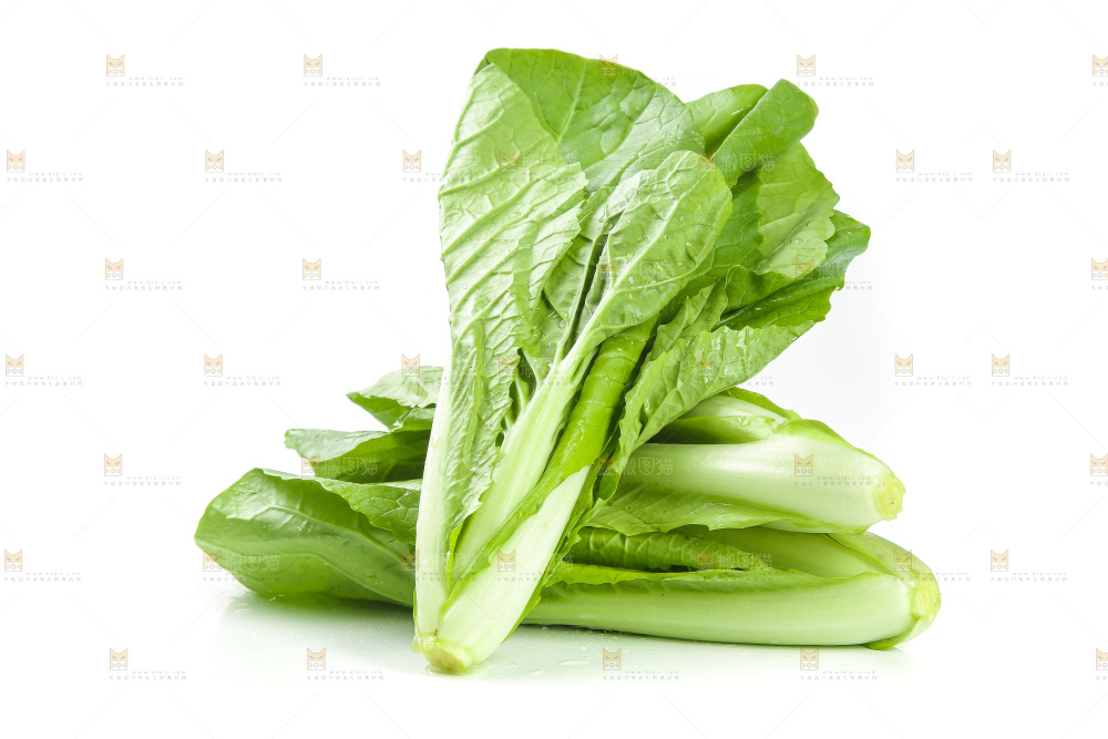 白底上放着小白菜