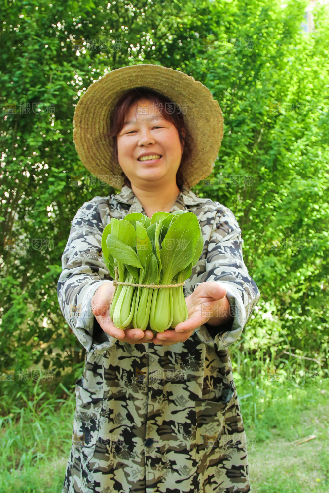 手里拿着上海青