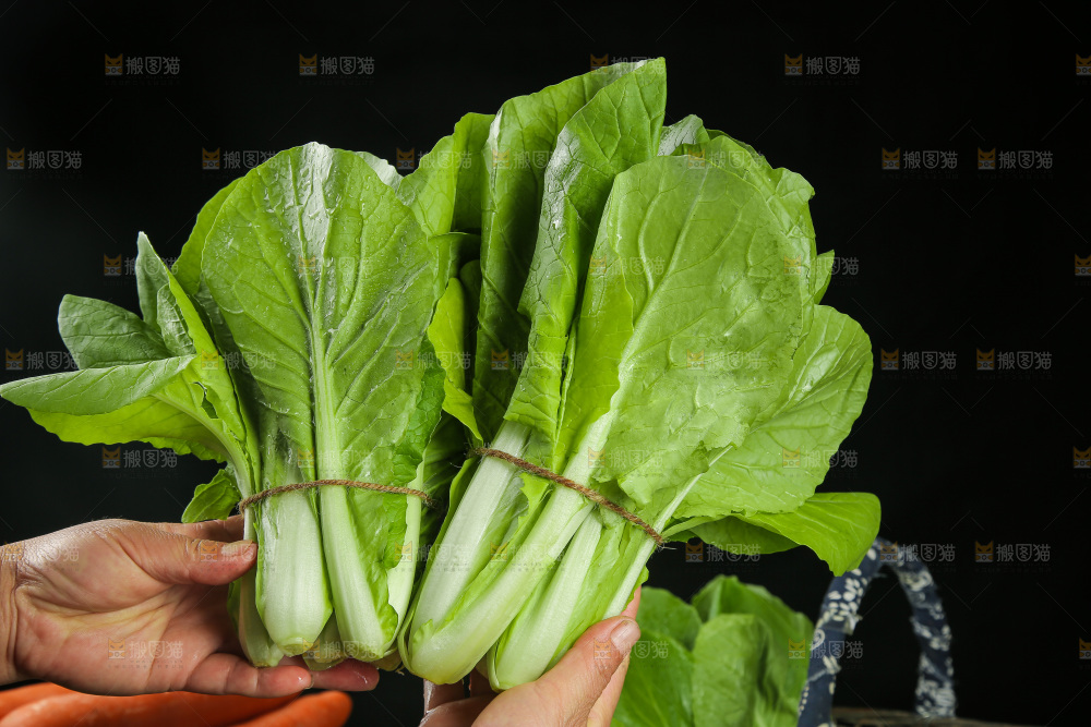 手里拿着小白菜