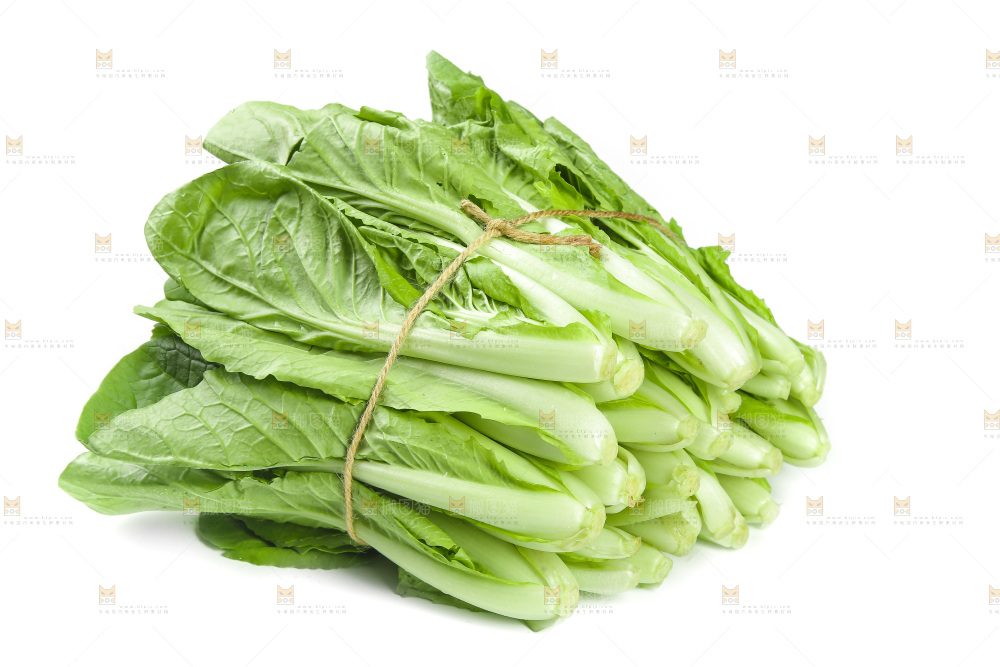 白底上放着一捆新鲜小白菜