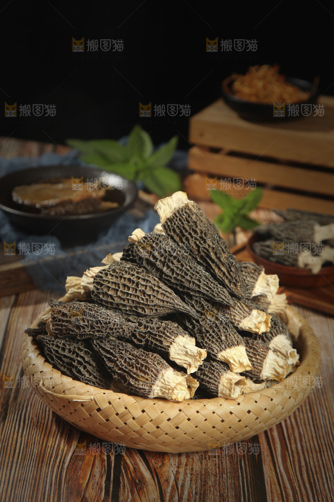 羊肚菌