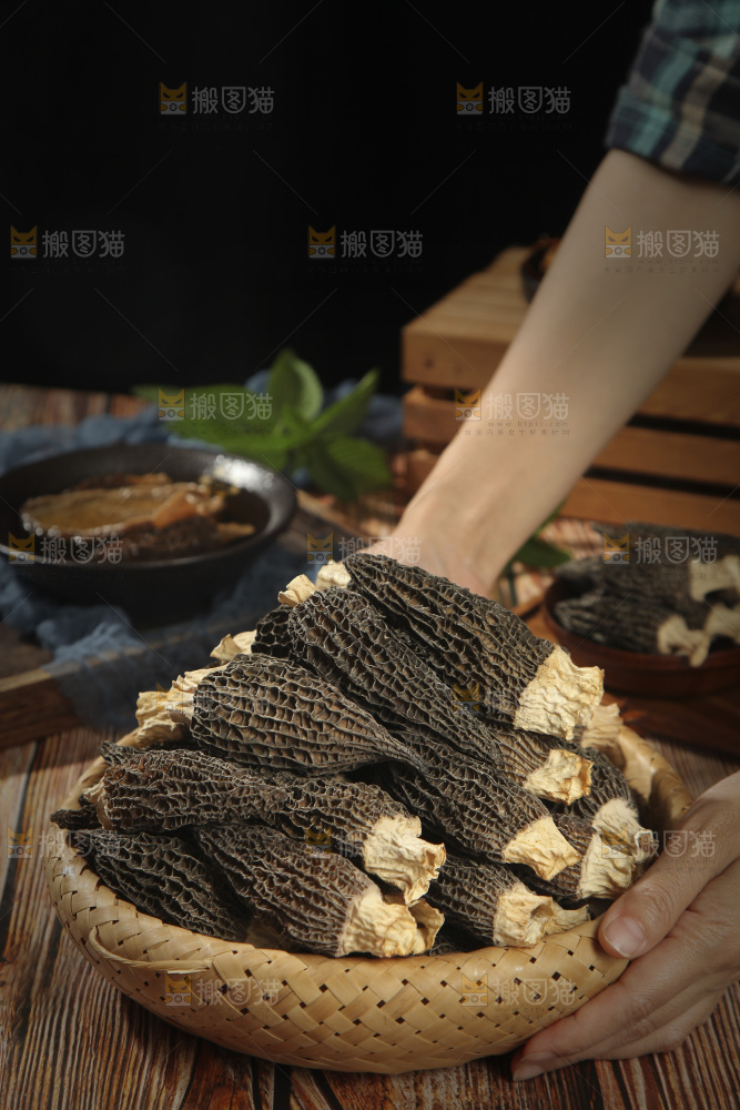 手里端着一篮云南羊肚菌