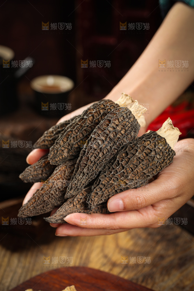 手里拿着云南羊肚菌