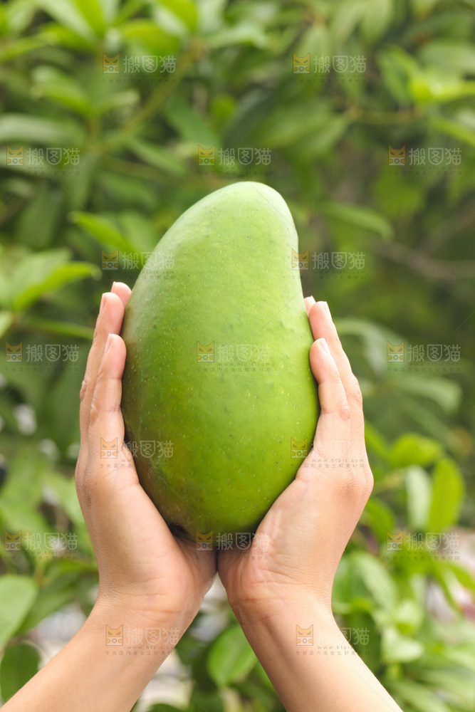 手里拿着青金煌芒