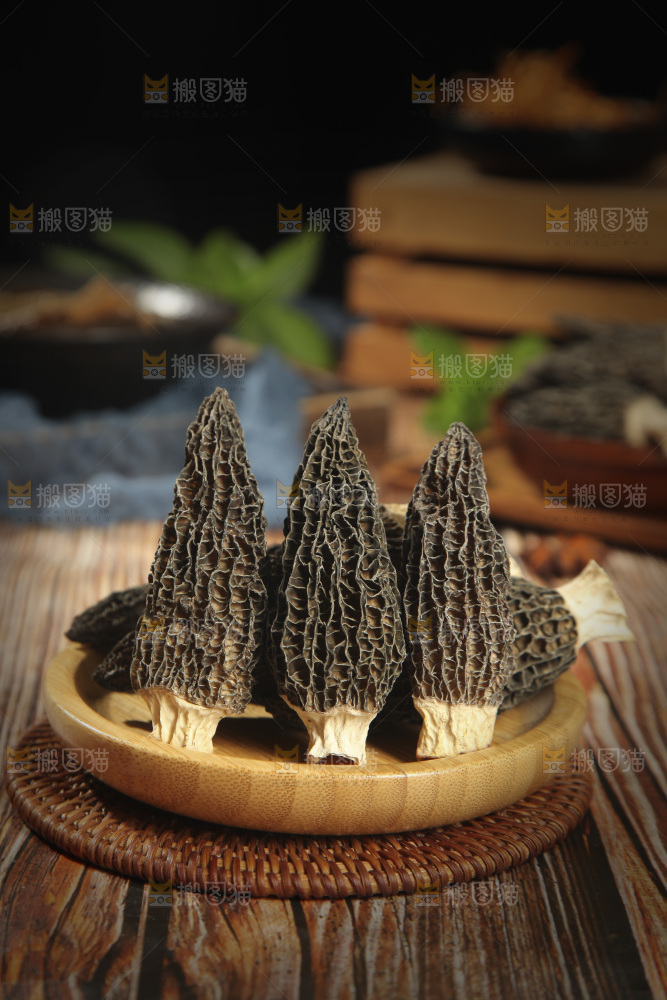羊肚菌