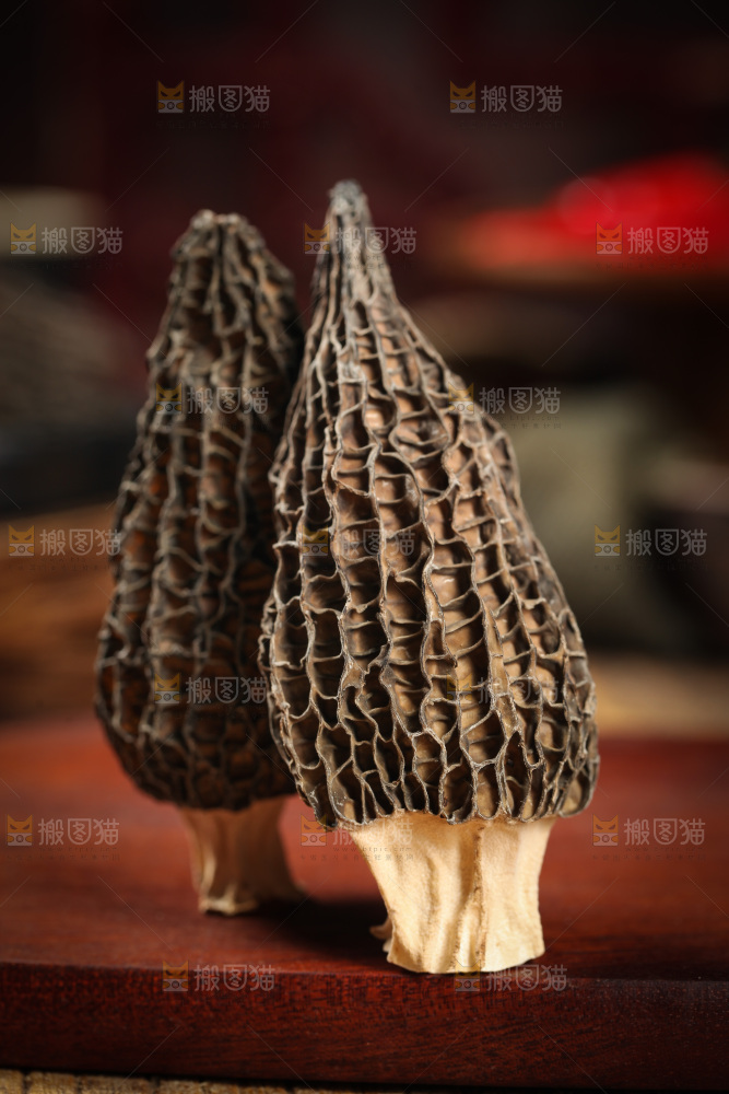 羊肚菌