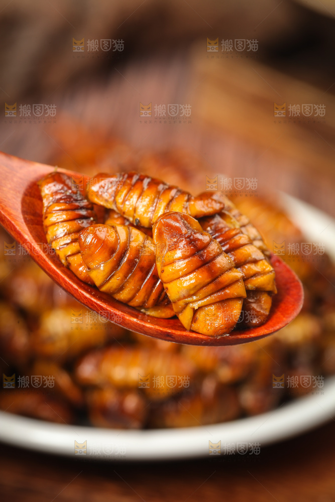 勺子上舀着金丝蛹