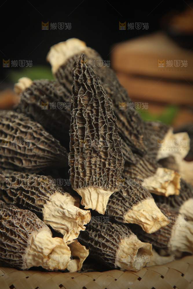 羊肚菌
