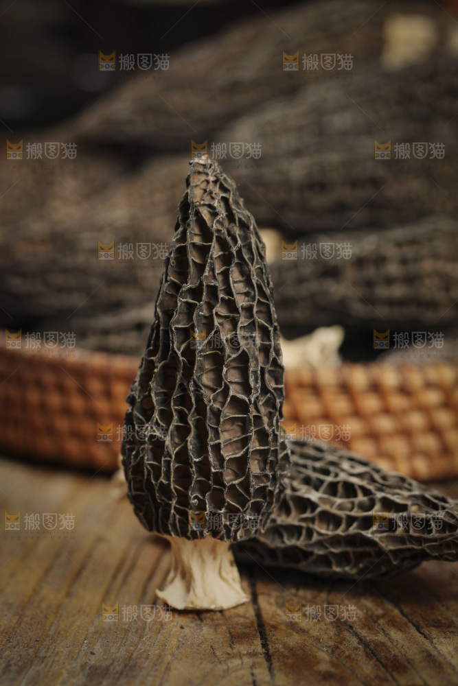 羊肚菌