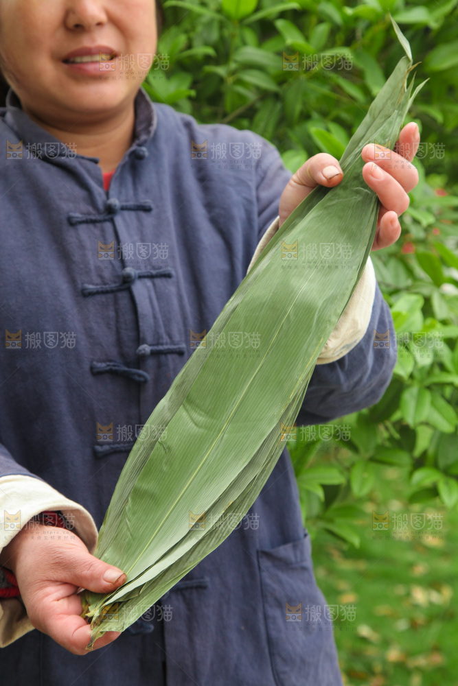 手里拿着大粽叶