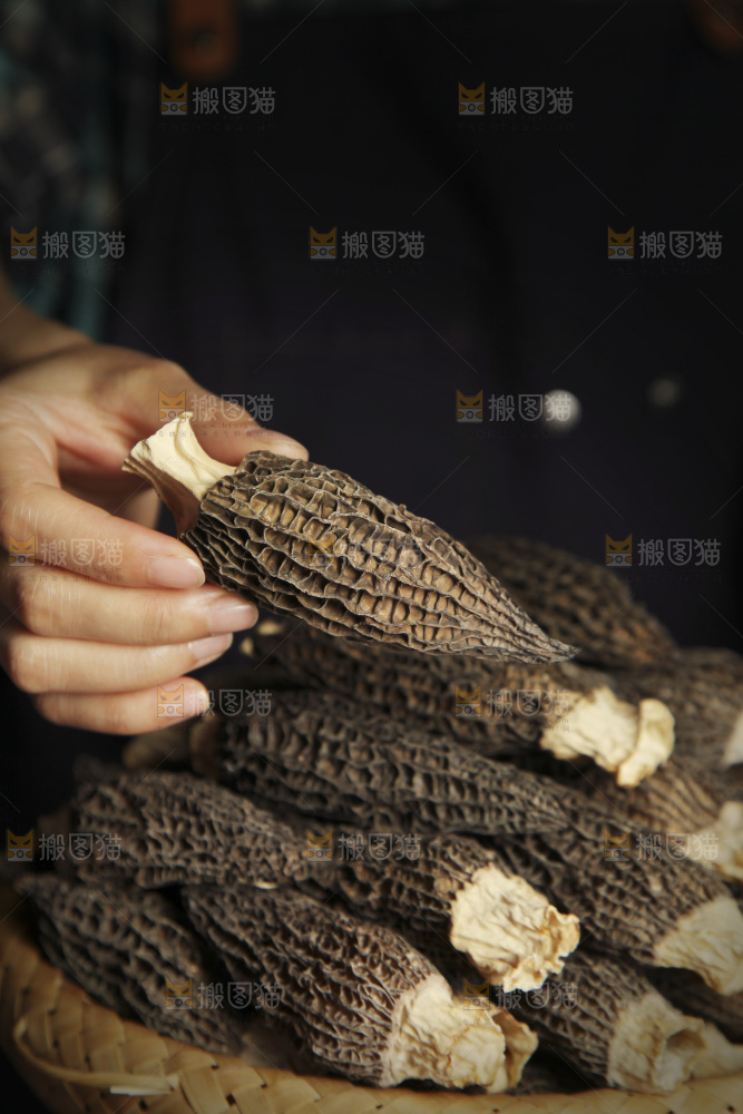 羊肚菌