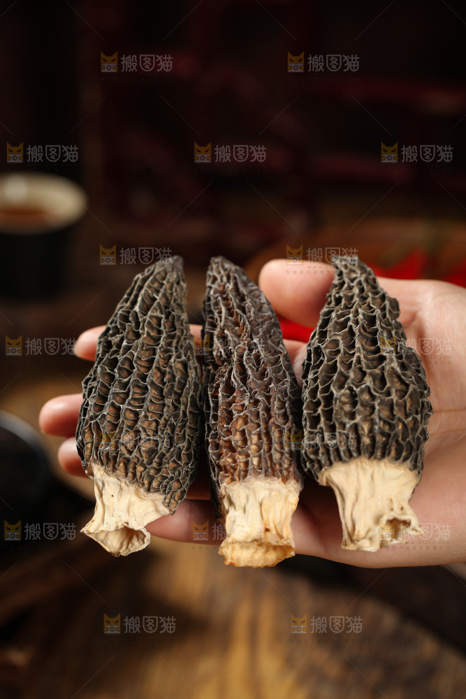 羊肚菌