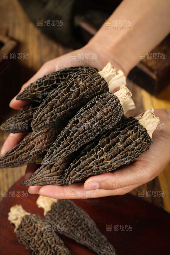 手里拿着云南羊肚菌