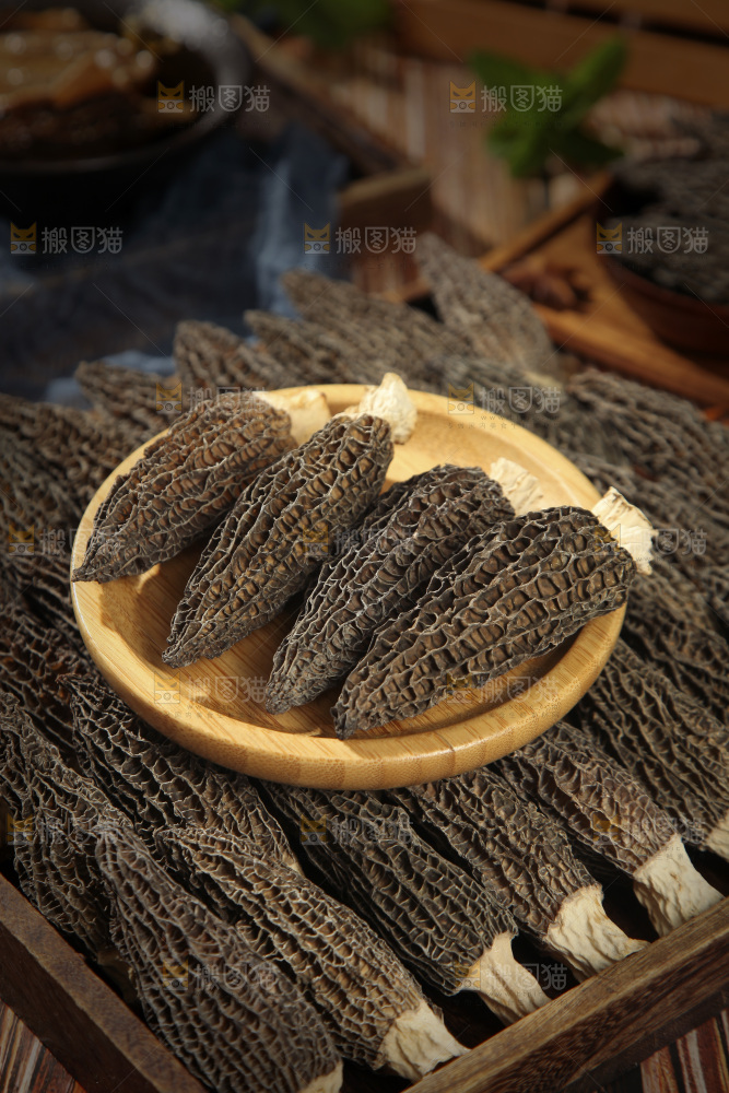 羊肚菌