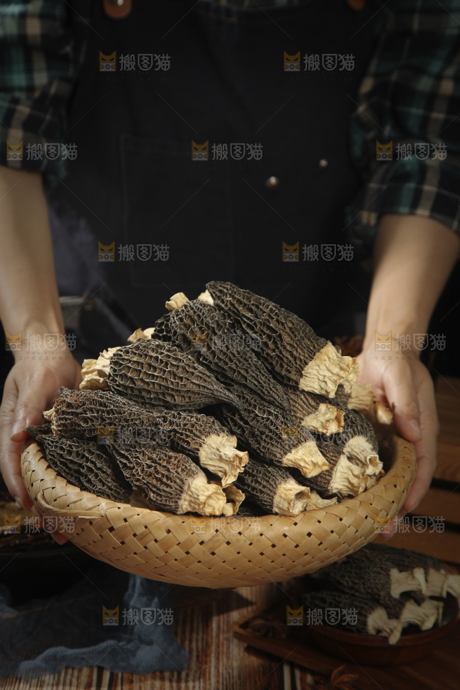 羊肚菌