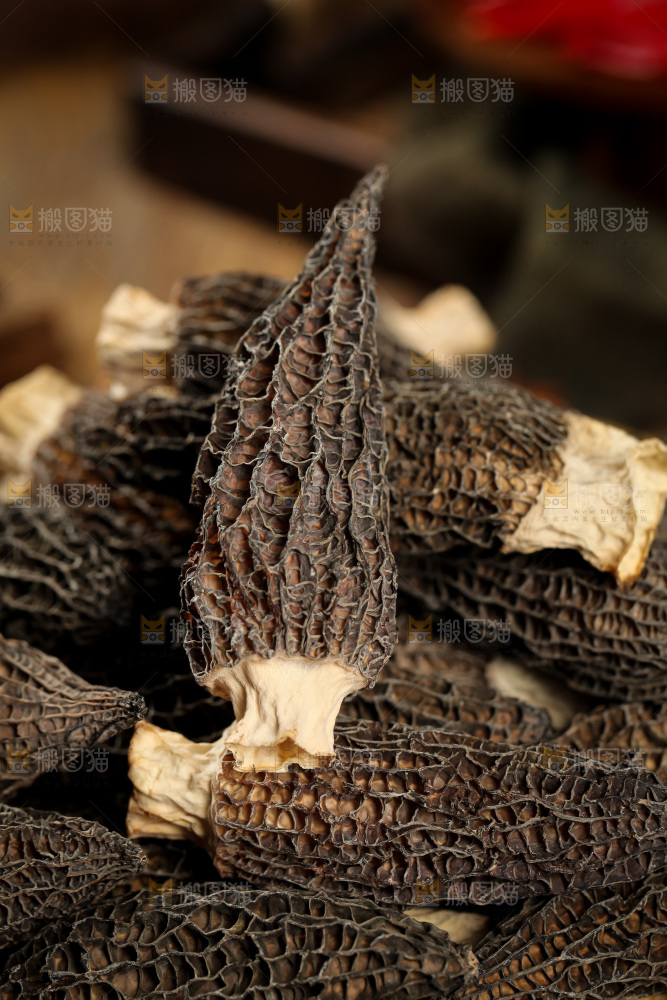 一堆干羊肚菌