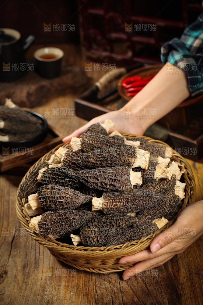 手里端着一篮羊肚菌