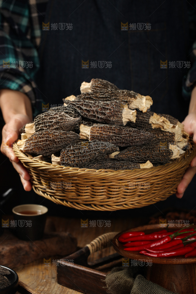 羊肚菌