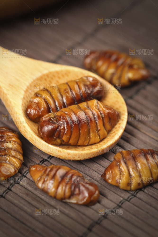 勺子上舀着蚕蛹