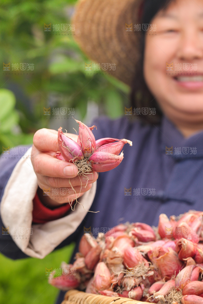 手里拿着香葱头