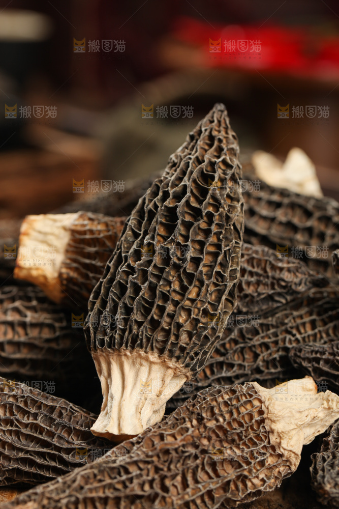 羊肚菌