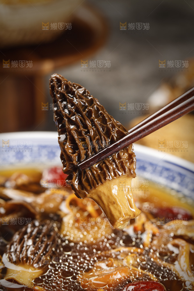 羊肚菌