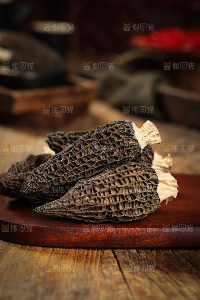 手里拿着云南羊肚菌