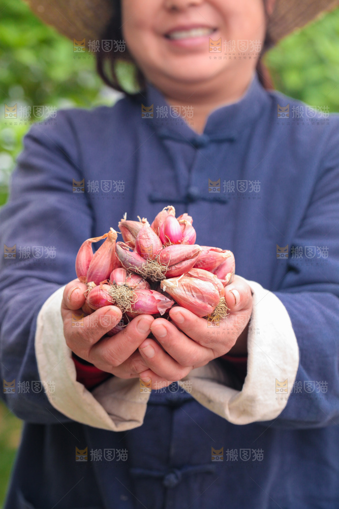 手里捧着红葱头