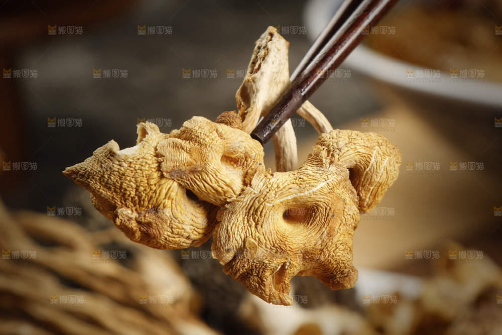 筷子上夹着鸡油菌